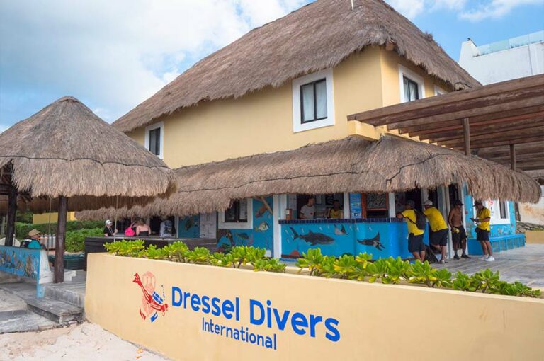 Best Scuba Dive Shops Near Me in the Mayan Riviera and Cozumel