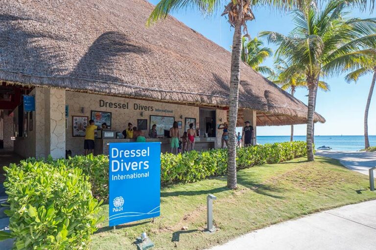 Best Scuba Dive Shops Near Me in the Mayan Riviera and Cozumel