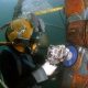 scuba diving career - commercial diving