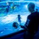 scuba diving celebrities - celebridades que bucean - James Cameron