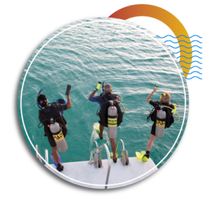 scuba diving certification cost - AOWC - precio curso de buceo