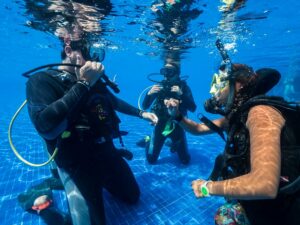 scuba diving certification cost - main - precio curso de buceo