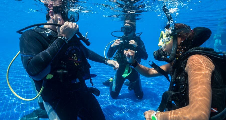 Scuba Diving Certification Cost How Much Does It Cost to Get Certified
