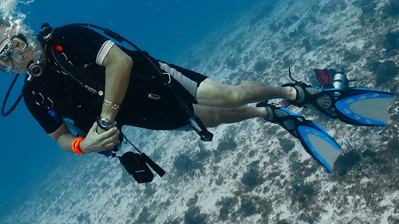 Las aletas de buceo: Tipos y guía de compra — Buceopedia