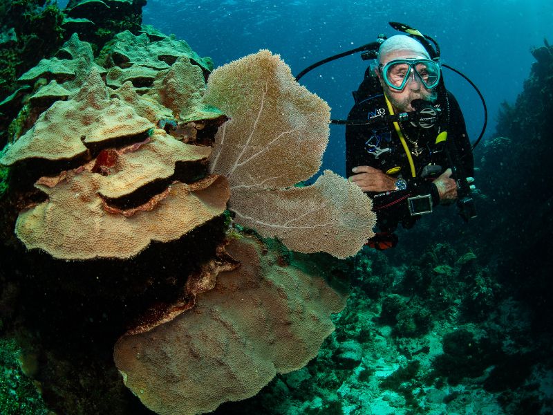 scuba diving for seniors (4) buceo para personas mayores