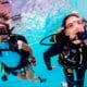 scuba diving holidays (1)