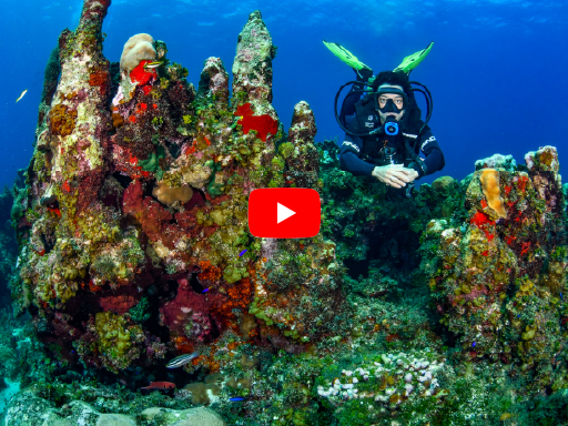 scuba-diving-in-lucea-video-dive-center Scuba Diving in Lucea - Video of The Dive Center