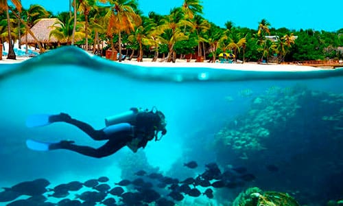 scuba diving in the dominican republica - bavaro - bucear en la república dominicana