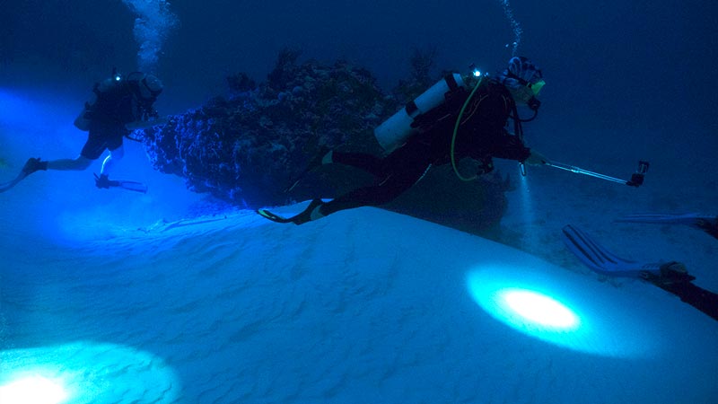 scuba diving light (5) linterna de buceo