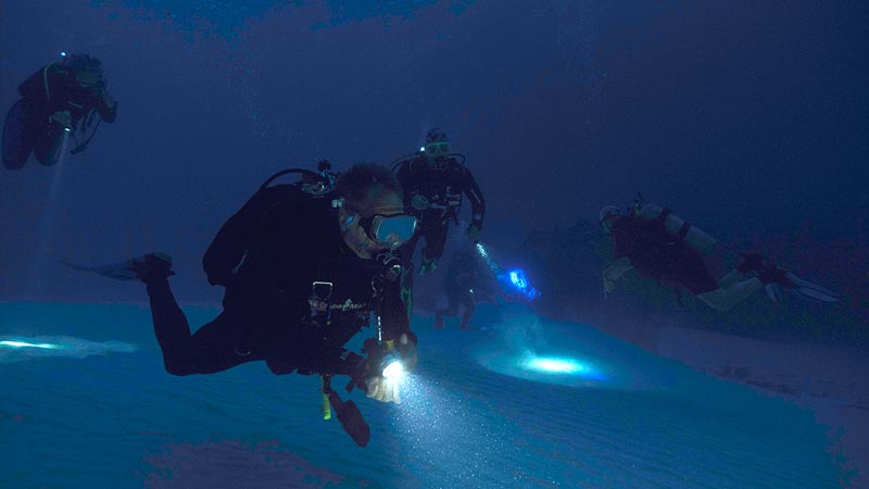 scuba diving light (7) linterna de buceo