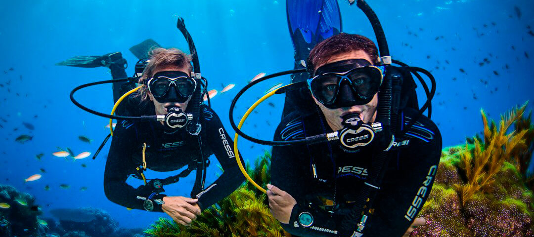 scuba diving price - main