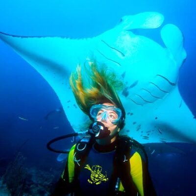 scuba diving puerto vallarta