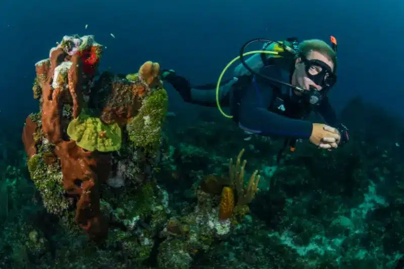 scuba diving rules (1) reglas de buceo