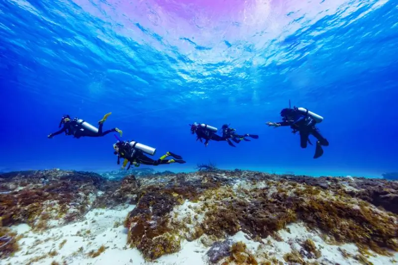 scuba diving rules (8) reglas de buceo