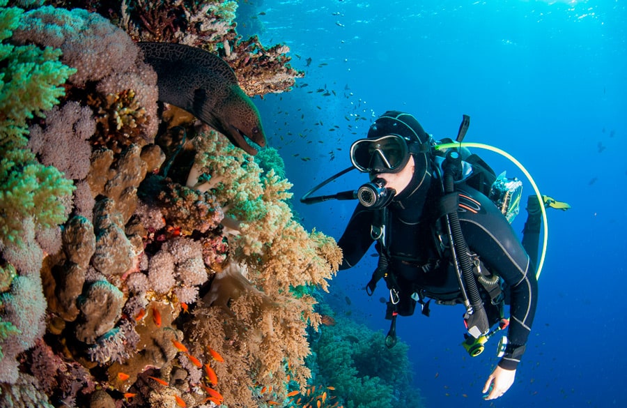 scuba diving rules