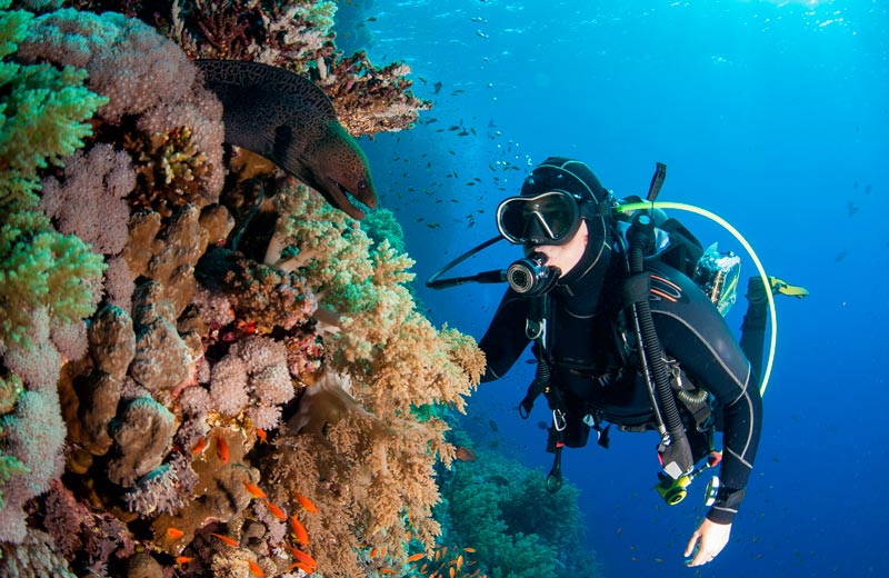 SCUBA DIVING SAFETY Facts You Must Know Dressel Divers