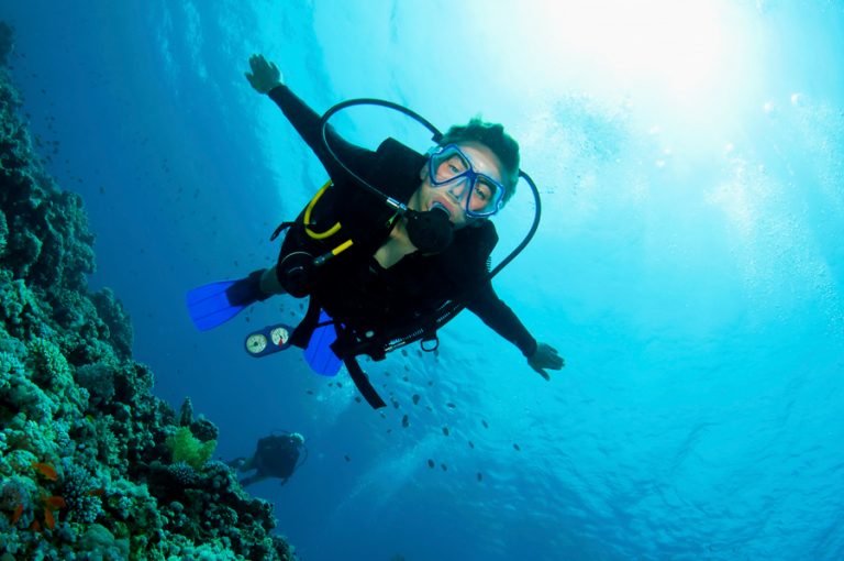 40 Scuba Diving Terms to Speak As a Pro Dressel Divers