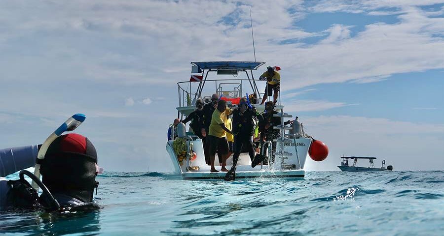 scuba diving tips - consejos de buceo (3)