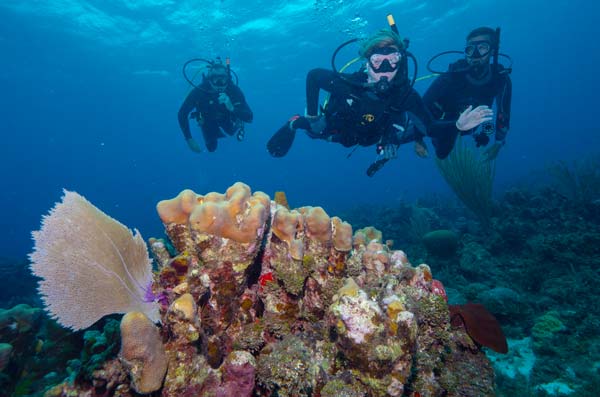 scuba diving vacations - marine park jamaica