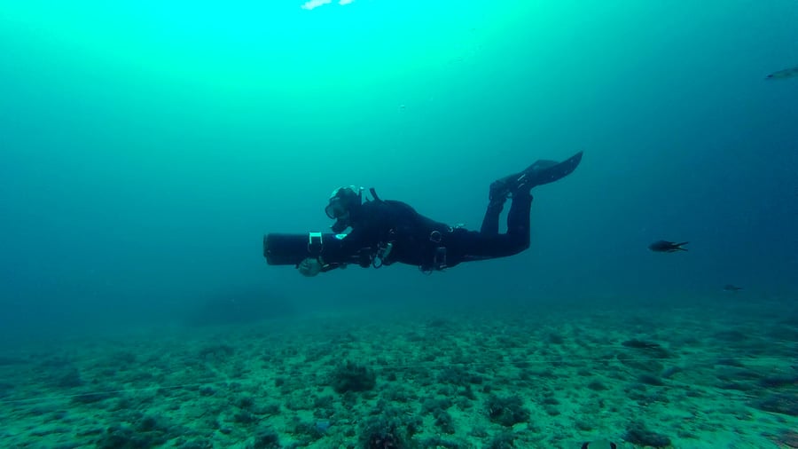 scuba frog kick