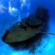 Cozumel Wreck Diving in Chankanaab