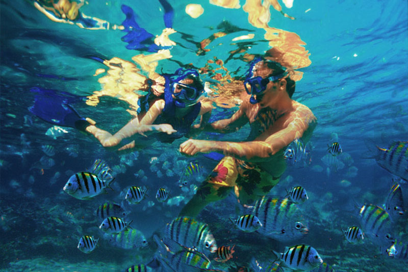 snorkeling classes in the caribbean - 2