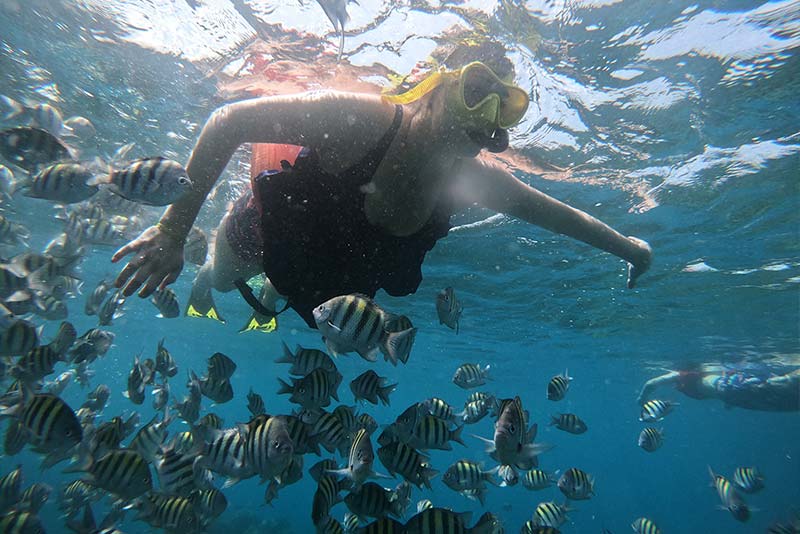 snorkeling classes in the caribbean - jamaica