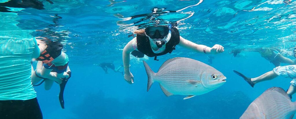 snorkeling in Mexico