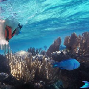 snorkeling in montego bay - marine park tours