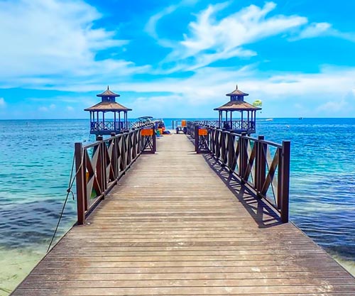 Snorkeling in jamaica