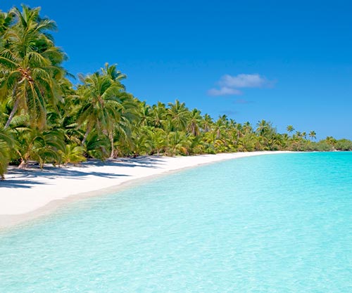 Snorkeling in the Dominican Republic