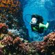 solo diving vs single divers - main picture