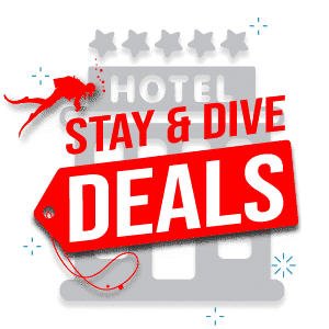 stay and dive deals