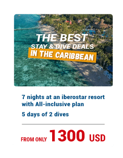 DIVE RESORTS | Stay & Dive in Mexico, Dominican Republic & Jamaica