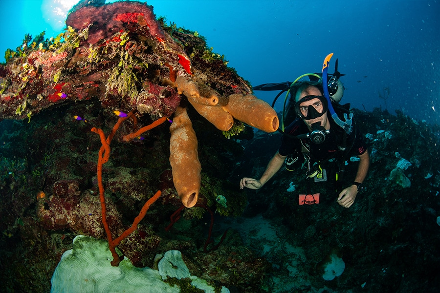 Scuba Diver with good practices