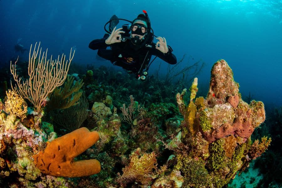 underwater tourism- turismo submarino (3)