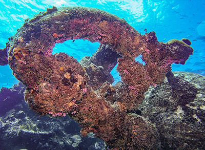 underwater pics - wreck 1