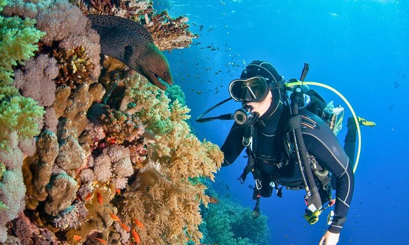 wall diving (1) buceo en pared