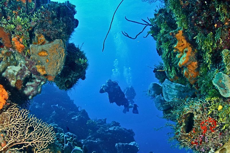 wall diving (4) buceo en pared