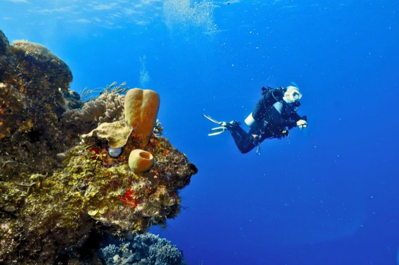wall diving (7) buceo en pared