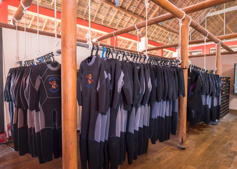 Scuba Wetsuit Thickness Guide How To Choose The Perfect One For Your