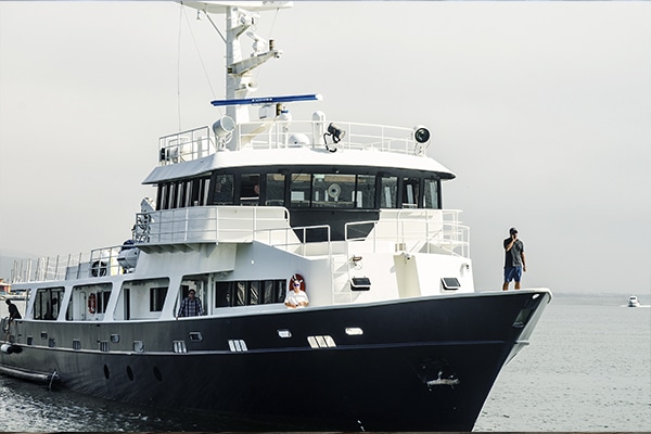 white shark diving - guadalupe liveaboard - vortex - socorro liveaboard