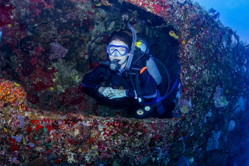 wreck divers - window - buceo en naufragios