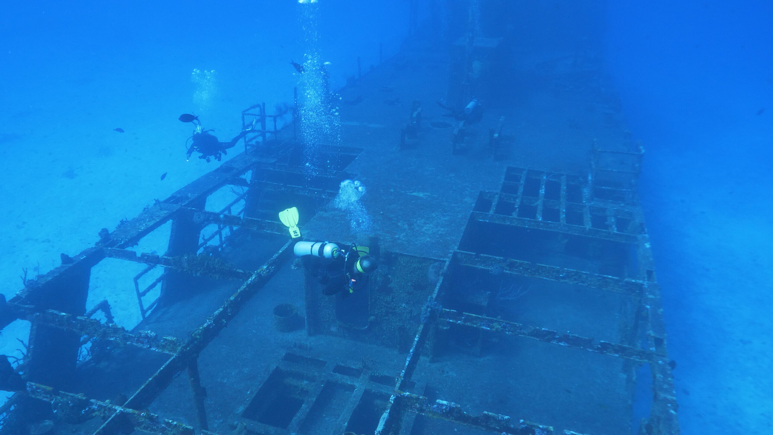 wreck diving in the caribbean - mama vina - buceo de pecios en el caribe